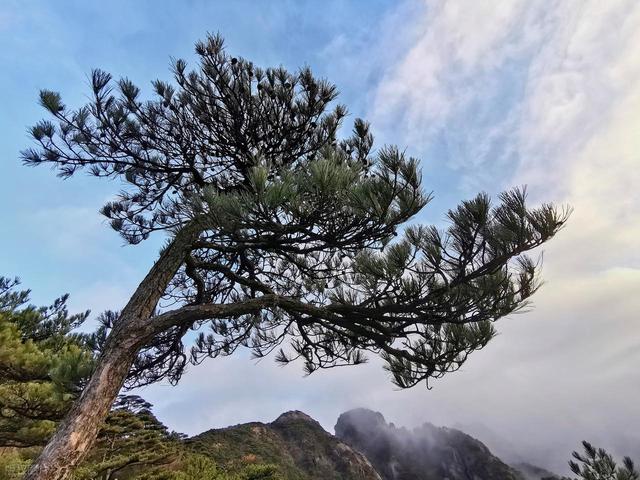 去安徽黄山玩了 5 天回来，说句大实话，黄山真不是所有人能适应的