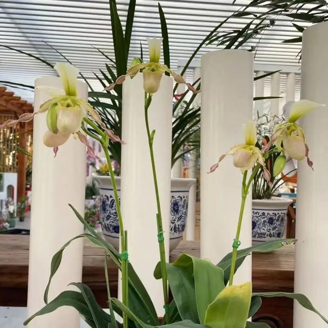 出门冻手冻耳朵！丰台室内去哪儿最温暖，戳——