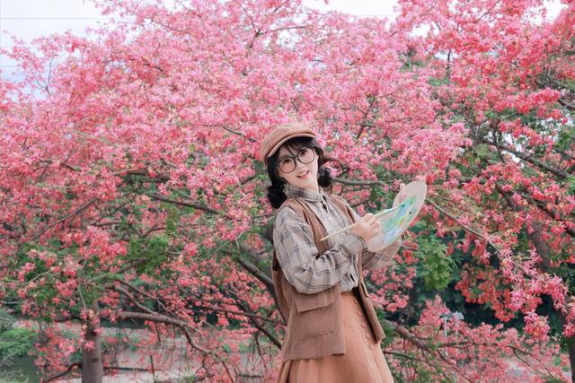 寻觅秋冬季粉色浪漫：深圳十个邂逅异木棉花开的地方