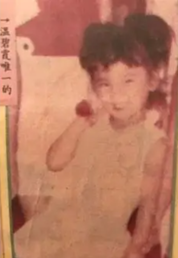 温碧霞59岁生日宴露半胸，丈夫越看越像农民工，和养子越来越像
