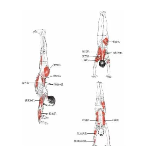 倒立是最高级的保养，每天5分钟，坚持半年	，脸上的皱纹真的淡了