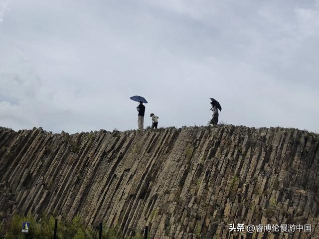 寻找谷力脑包