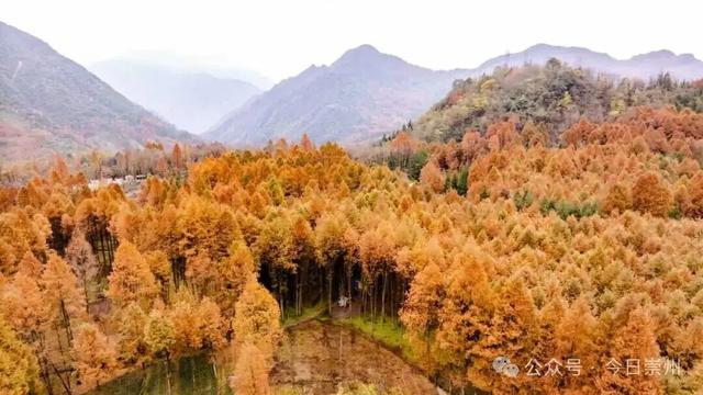 漫山彩林，琉璃坝的色彩美学