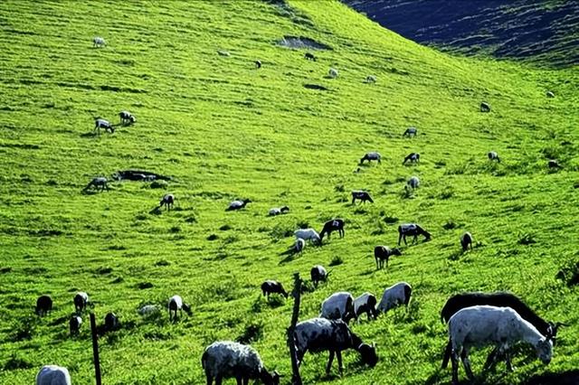 这些“神似”的顶级景观，甘肃小伊犁、湖南草原，小众秘境藏大美