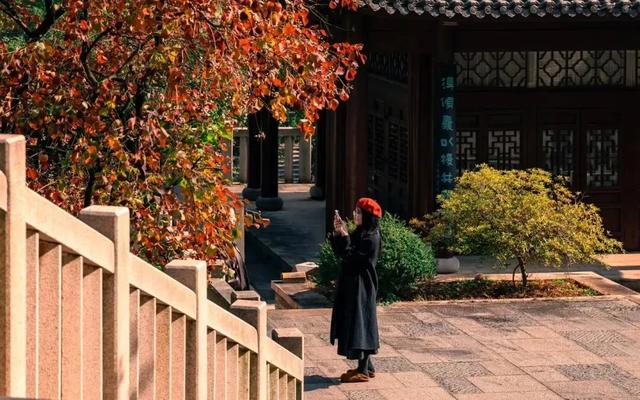 醴陵冬日限时暖阳已上线，公主王子请享用