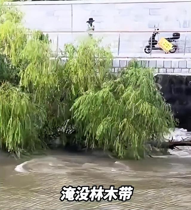 4名游客卷入钱塘江！迅速被冲散，记者曝全过程，没一个值得同情
