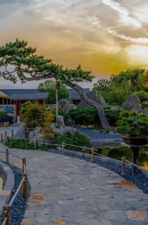 美出新天际！闯入醉东风的稻田艺术世界！