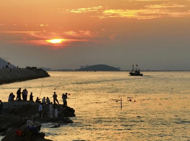 体荟四季｜冲浪、赶海、骑行...江浙沪这些 “动感海岸线”激活你的整个夏天