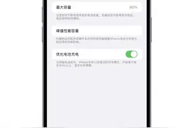 700多的苹果手机电池，都是谁在换？图片