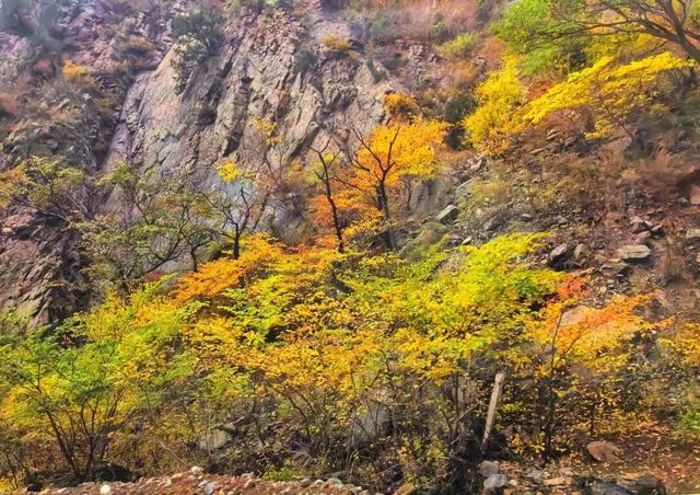 到土右，看山水~双节文旅盛宴圆满收官！