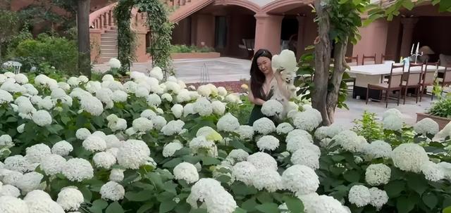 霍思燕北京的家似庄园，奢华的令人咂舌，父母双亡养一堆宠物感藉