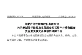 电力央企启动重大资产重组！停牌！图片