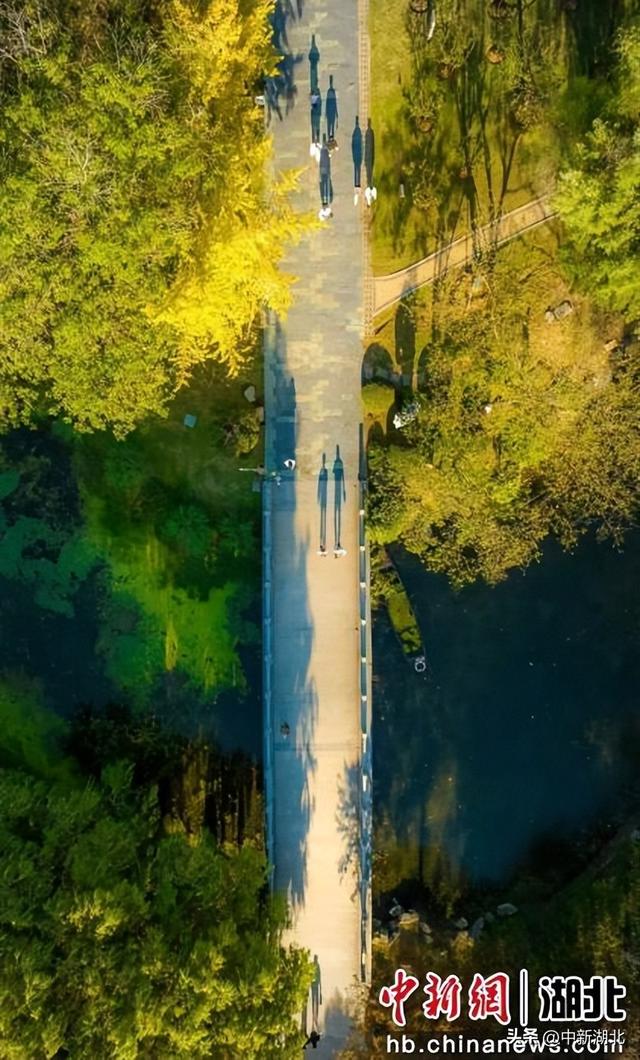 来汉阳解锁最有含金量的秋日玩法