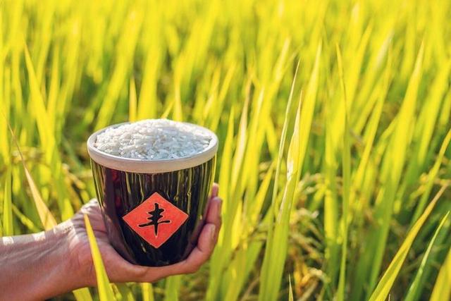 “上午秋分，大雪封门；下午秋分，单衣过冬”，今年秋分是几点？