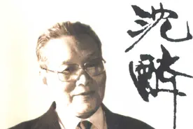 晚年沈醉揭露，蒋介石曾大骂唐生明：什么朋友都交，太糊涂图片