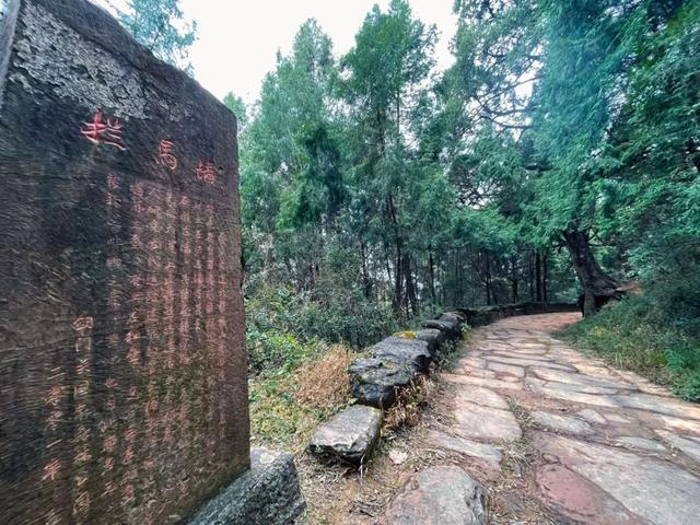 坐高铁游广元 | 诶？！我难道不是最会到剑阁旅游的小天才吗？