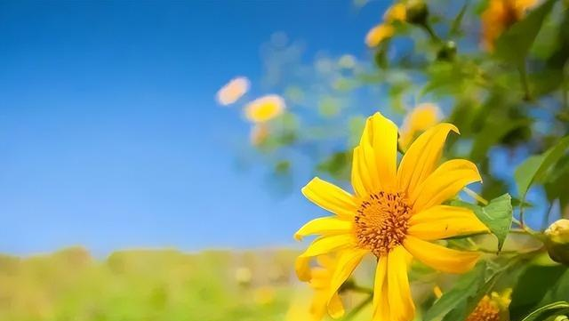 女人，在以下两个时期最容易动真情，男人要懂得好好把握