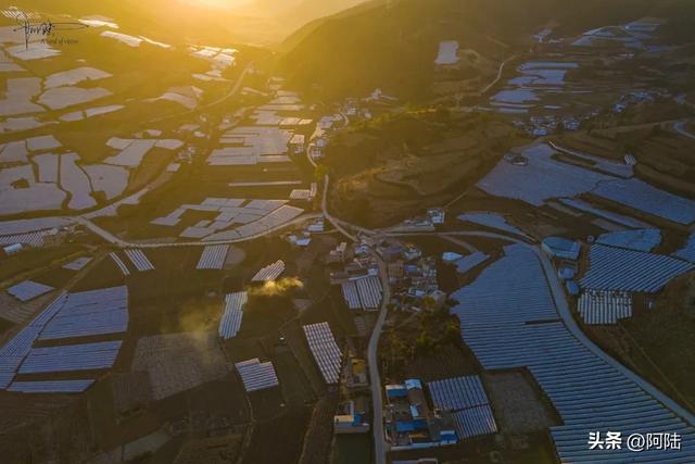 如果你正在大理摆烂,这条被果园包围的乡村小道很值得去跑一跑