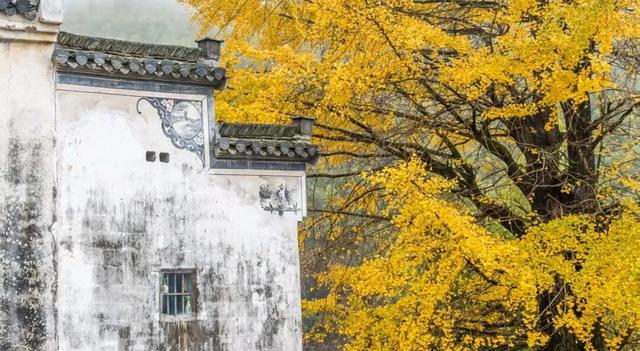 皖美秋日｜【石台深秋】一半是晒秋烟火，一半是山水诗意