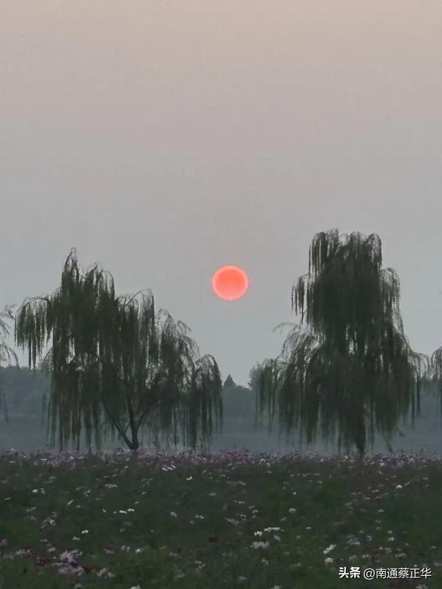 如东的秋天，都藏在这里了→