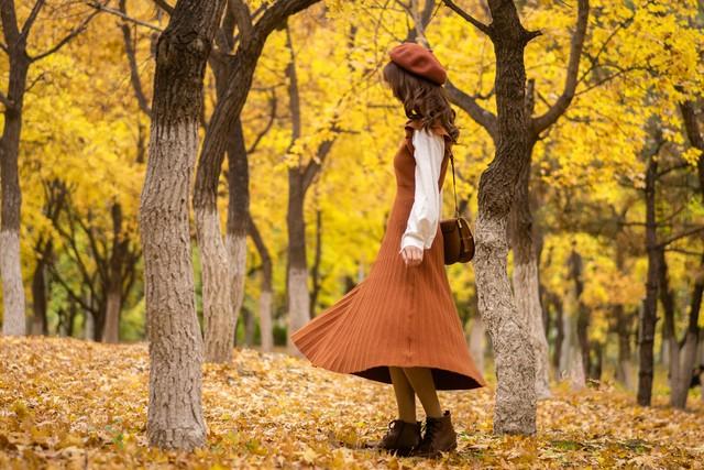 郑州秋日旅行天花板！这4个市内秋游美到难忘，最后一个印象深刻