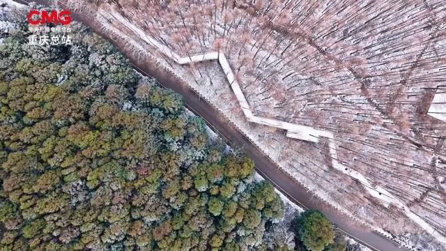 日照金山、水墨画卷、雪林撞色!重庆冬日雪景,每一帧都想保存