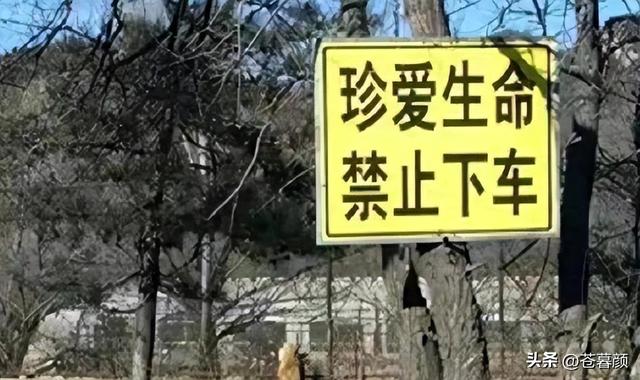 16年，母亲虎口救女被咬身亡，女儿至今未得到父亲原谅：怨谁
