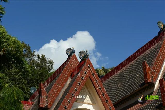 被位置耽误！云南这座21°C春日小城，三面与缅甸接壤，比版纳惬意