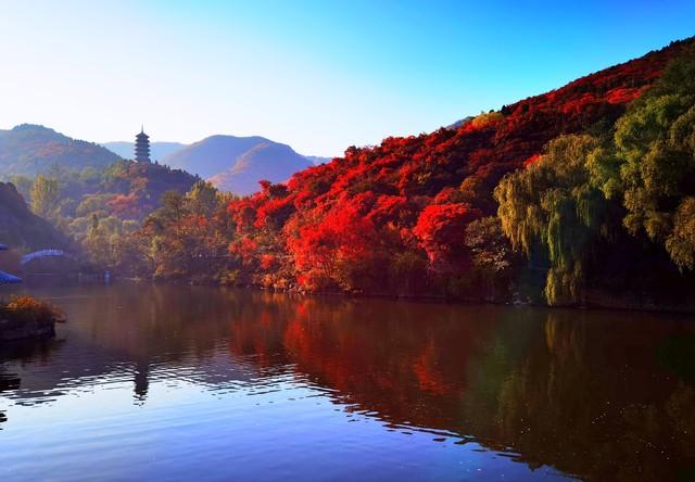 不藏了，济南5个红叶仙 境，最后一个美到词穷！