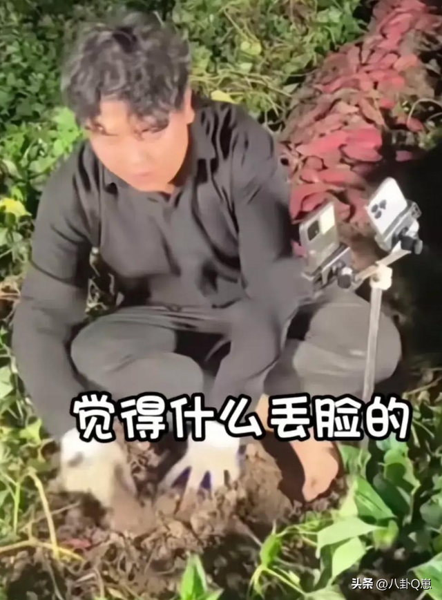 被百万网红公开内涵仅4天，全红婵14字回应太解气，全妈能安心了