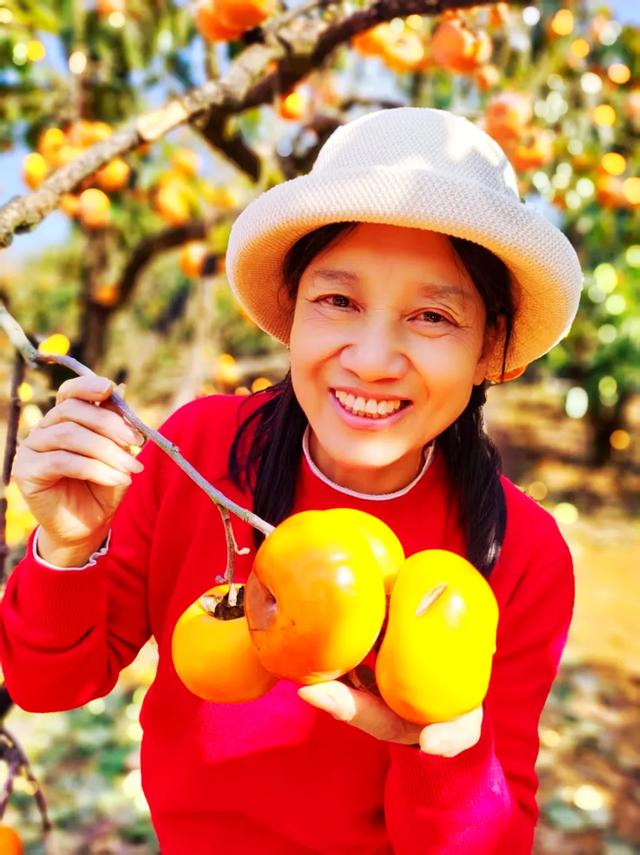 桂林：不入柿园，怎知秋色几许！