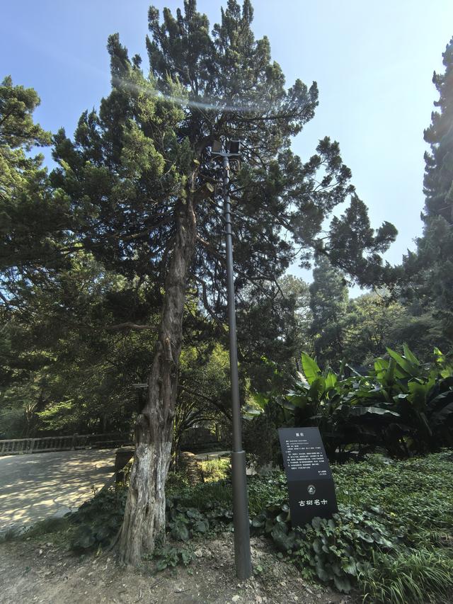 浙江湖州市德清县莫干山国家风景名胜区游记（下）