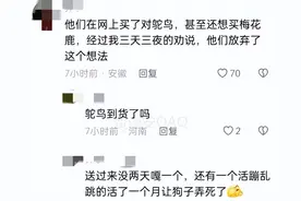 拼多多还真是啥都能买到！网友的评论简直太离谱，购买欲直接拉满图片