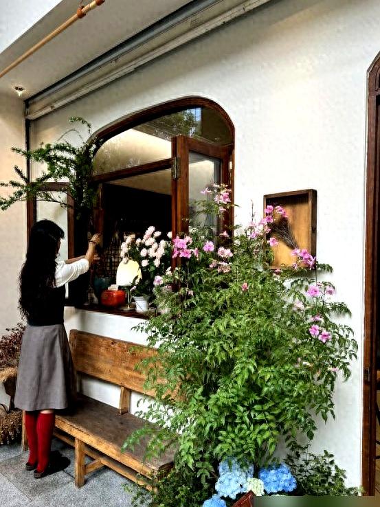 “阴花不能进阳宅”！家里若有这5种花，请赶紧“搬出去”！