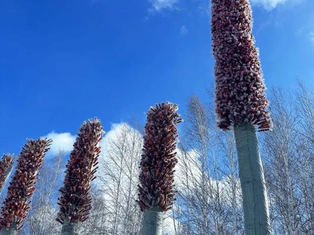 冰雪为媒 温情相连 牙克石向您发出冬日邀约！