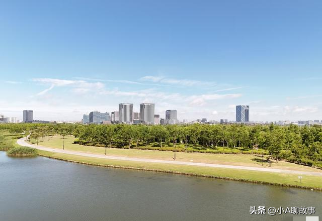 我是上海人，刚从南汇回来，这5个疑问在心里绕了好久。