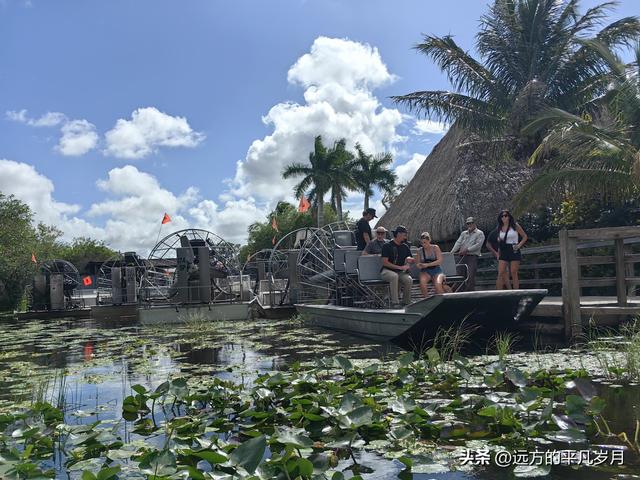 大沼泽地美国国家公园（迈阿密游记三）