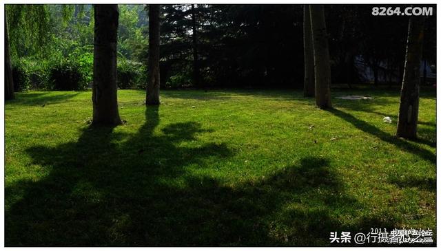 山东行游影记（15）—济南山东大学（二）