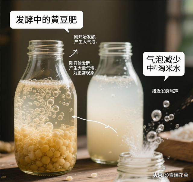在家自制花卉肥料全攻略：从原料到使用的一站式指南