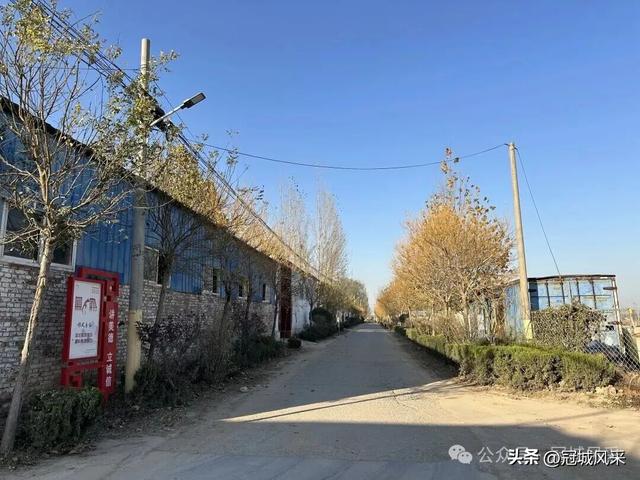 冠县乡韵·贾镇洼里村