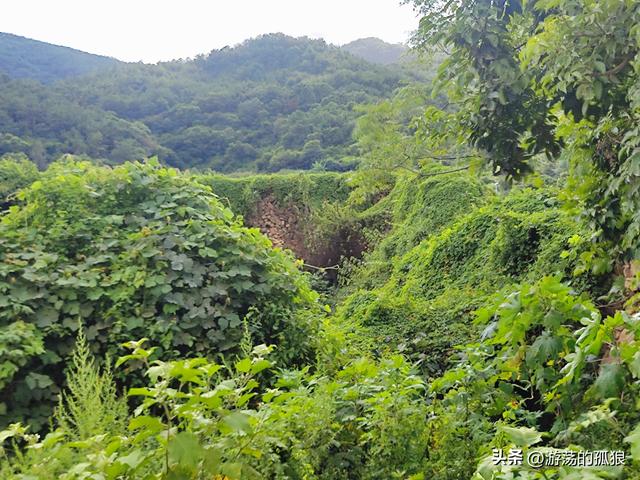发现探索:厦门深山曾发生过鼠疫的村庄，居然藏着一座方型土楼