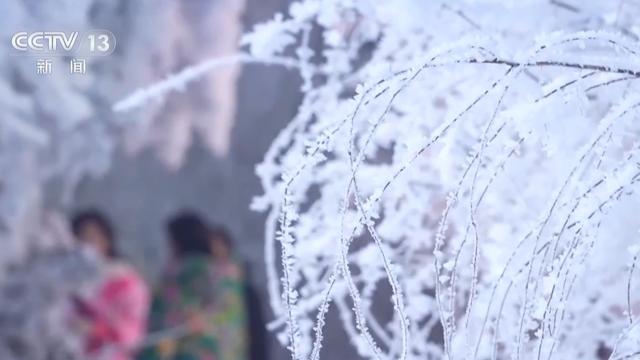 活力中国调研行丨雪道骑行、山顶露营 这里的滑雪场夏日不打烊！