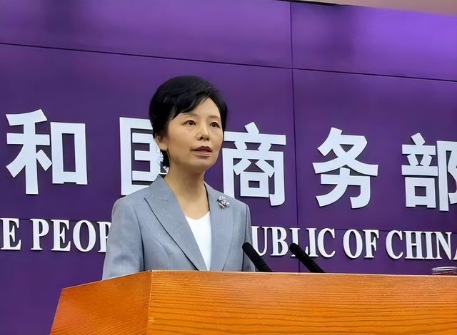 荷兰政府猝不及防，安世中国宣布独立运营后，荷方外交官开始斡旋