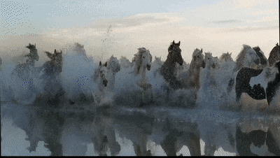 华语片年度突破之作，我用手机看了