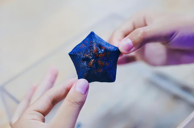 对话港口博物馆，探秘海洋研究院 | 2025甬峻青少年文化交流活动④