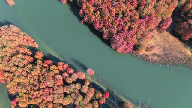 红了！红了！你最想和谁一起去？