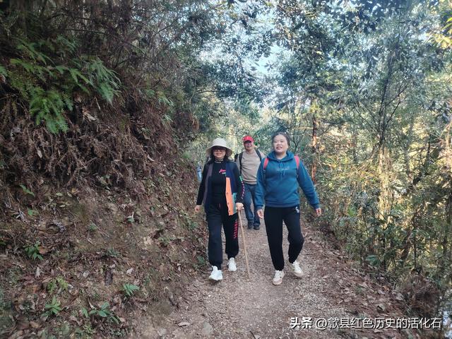 徒步由义岭尝上坦农家乐