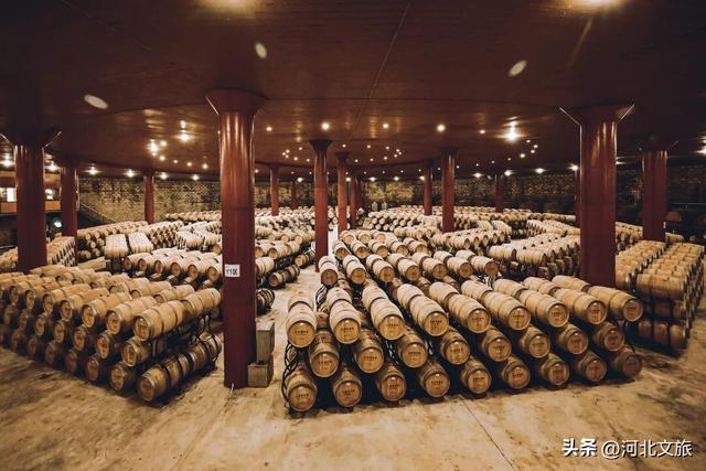 邂逅河北百年葡萄树，逛酒庄、品红酒、宿葡园，开启“藤”下慢时光！