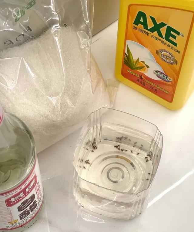 家里到处都是小飞虫？教你简单3招，不到半小时就能全部消灭