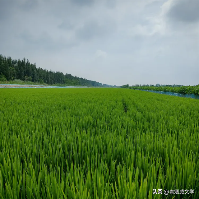 七月闲云行：沿海行记事